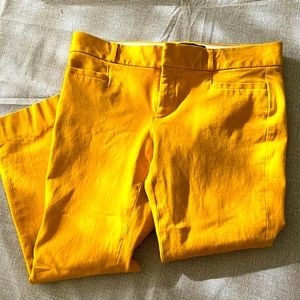 Banana Republic 2P Pants